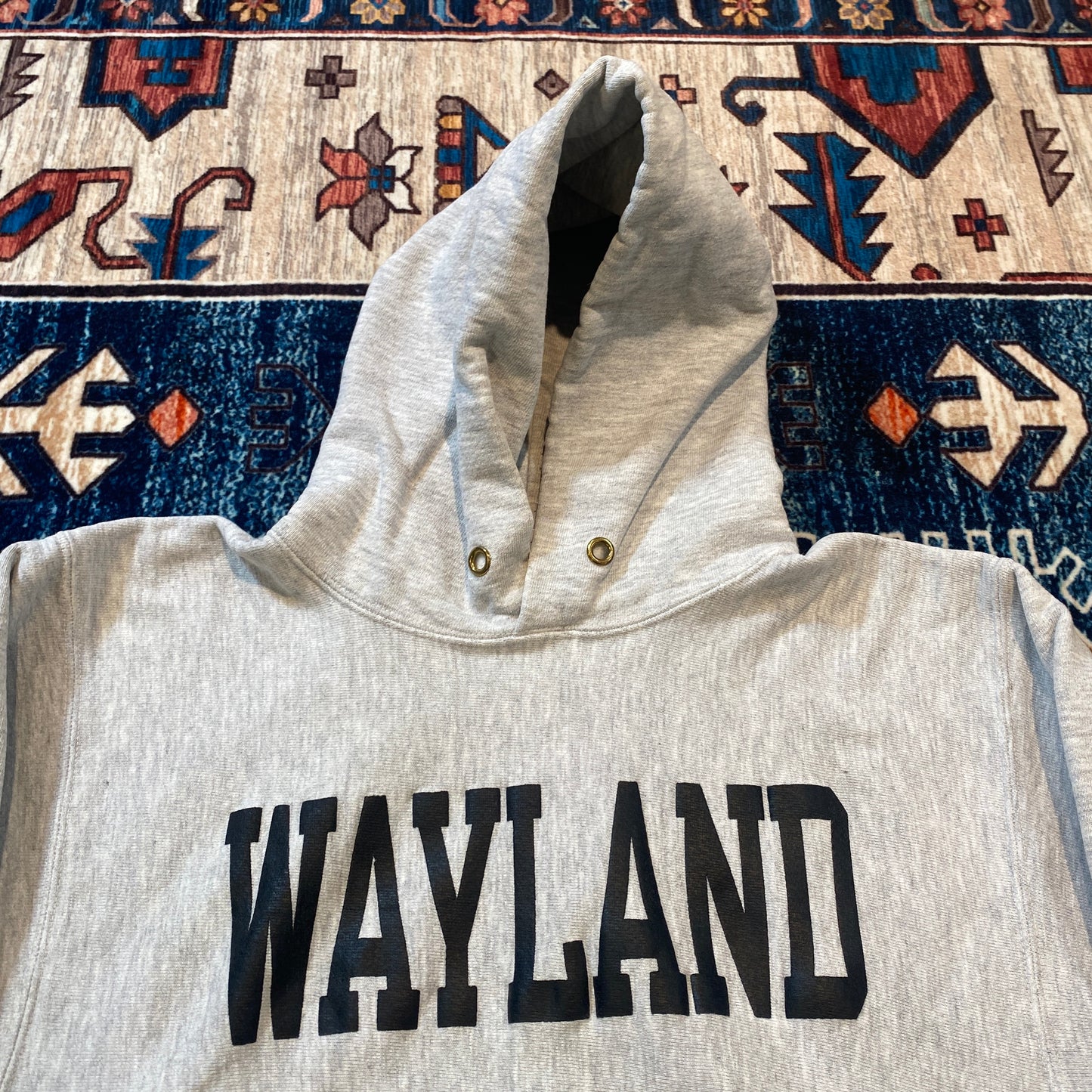 90s Champion Reverse Weave Wayland Baptist University hoodie