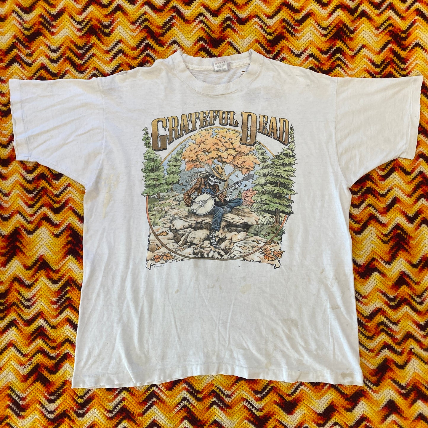 1994 Grateful Dead distressed Fall Tour tee